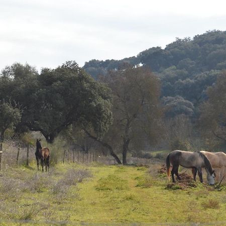 Herdade Ribeira De Borba Villa Vila Viçosa Eksteriør billede