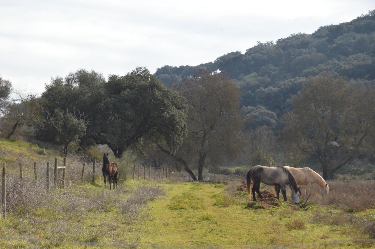 Herdade Ribeira De Borba Villa Vila Viçosa Eksteriør billede